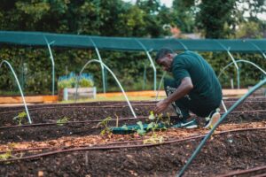 A man tending to a garden